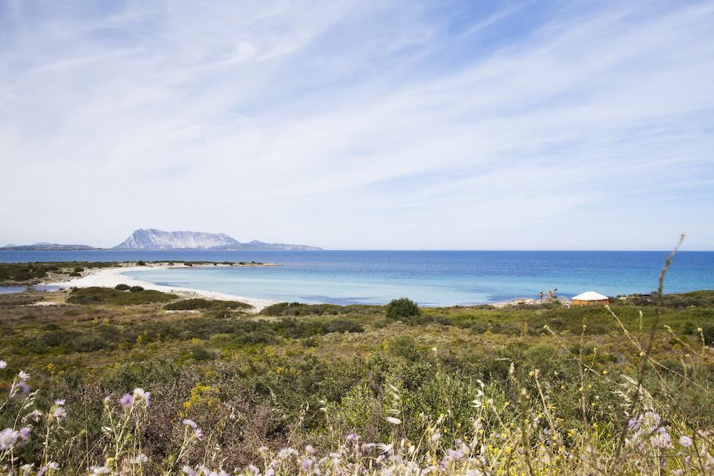 Residence Approdo Verde San Teodoro  Zewnętrze zdjęcie